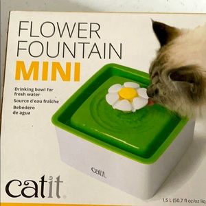 Cat fountain